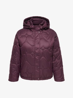 ONLY Carmakoma, QUILTED JACKET CARTAHIA QUILTED JACKET - Winterjacke - fudge