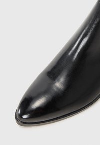 Bottine en cuir noir avec un bout pointu, texture lisse, silhouette élancée et design minimaliste ; elle possède un petit heel et des coutures discrètes.