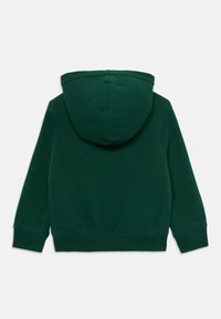 Donkergroene hoodie met lange mouwen en een voorzak, met ribgebreide manchetten en zoom, gezien vanuit de achterkant op een witte achtergrond.