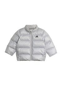adidas Sportswear Zimska jakna - silver metallic   black reflective