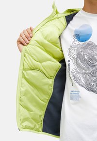 Jasnozielona kurtka puchowa o błyszczącej powierzchni, z szarym podszewką i wieloma pikowanymi sekcjami. Rozpięta, odkrywa wewnętrzne kieszenie.