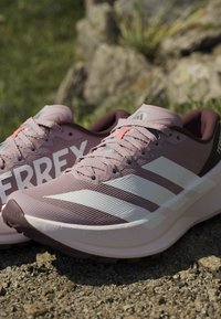 Ζευγάρι μωβ παπούτσια Adidas Terrex για trail τρεξίματος με λευκές ρίγες, ακουμπισμένα σε πετρώδες έδαφος έξω.