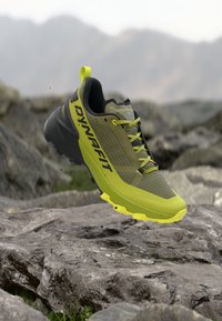 Non selezionato, golden-coloured lime/military green