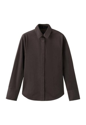 Chemise marron foncé à manches longues avec col à pointes et patte de boutonnage cachée, présentée sur fond blanc.