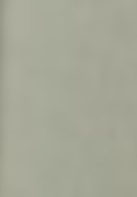 Light green textured wall with subtle patterns, creating a smooth, matte surface. No visible hardware or accents.