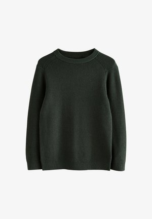 Next, CREW NECK KNITTED JUMPER. - REGULAR FIT - Svetrík - dark green