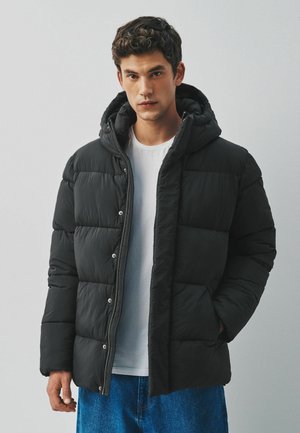Next, REGULAR FIT - THERMOGEN SHOWER RESISTANT PUFFER JACKET - Winterjacke - black