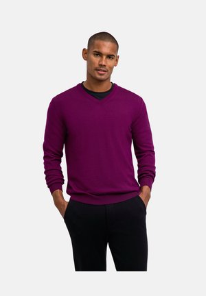 PULLOVER - Maglione - vendetta