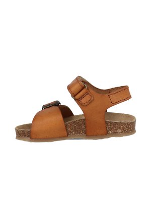 Kipling FABIO - Chaussures premiers pas - brown