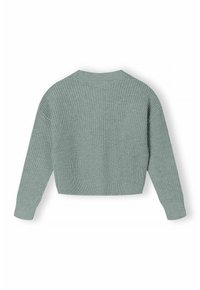Pull cropped tricoté à manches longues bleu clair avec des poignets et une taille côtelés, exposé à plat montrant le dos.