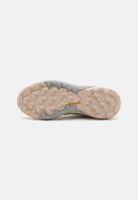 Adidas Terrex TERREX SKYCHASER - Obuća za pješačenje - putty mauve/grey two