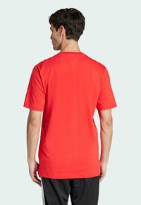 T-shirt in cotone rosso con maniche corte. Design a girocollo e orlo dritto. Texture liscia, semplice senza motivi o decorazioni.