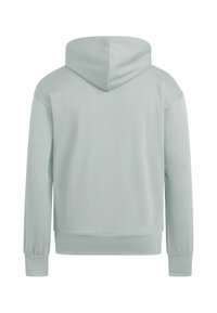 Sweat à capuche gris clair avec manches longues, poignets et ourlet côtelés, vu de dos sur fond blanc.