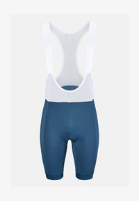 Unausgewählt, blue wing teal white