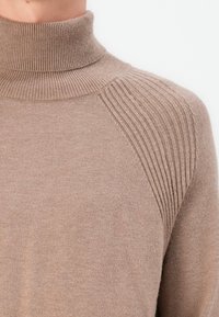 Pull à col roulé beige avec texture côtelée sur les épaules et corps lisse ; fabriqué en tissu doux, offrant un ajustement confortable.