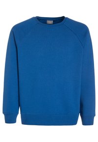Blaues Sweatshirt aus weichem Stoff, mit Rundhalsausschnitt, Raglanärmeln und gerippten Bündchen und Saum. Glatte Textur ohne Muster.