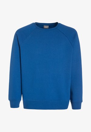 Modra majica z dolgimi rokavi, izdelana iz mehkega blaga, z okroglim izrezom, raglan rokavi in rebrastimi manšeti ter robom. Gladka tekstura brez vzorcev.