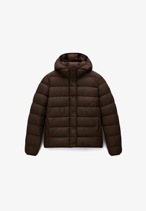 Napapijri, A-AERINS H W. - Winterjas - dark brown