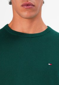 Pulover verde cu guler rotund, realizat din material tricotat, având un mic logo brodat în roșu, alb și albastru pe pieptul stând în stânga.