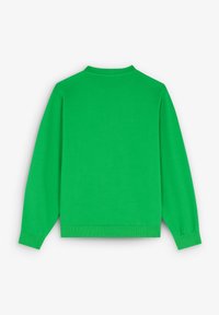 Felpa verde con colletto rotondo, maniche lunghe, polsini e orlo a costine. Texture liscia con un colore uniforme e senza motivi o decorazioni visibili.