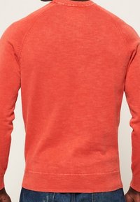 Felpa rossa a maniche lunghe in un morbido tessuto texturizzato, con collo a giro e polsini a coste, caratterizzata da un design a manica raglan.