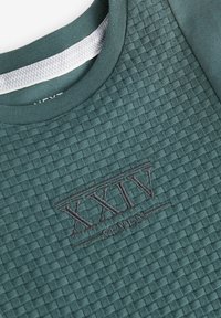 Next EMBROIDERY TEXTURED SHORT SLEEVE - REGULAR FIT - T-shirt med print - mineral