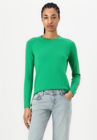 FROM FUTURE BANDE MULTICOLORE AUX MANCHES - Strikkegenser - tropical green
