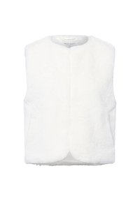 Gilet in finto pelo bianco con collo alto, senza maniche e texture morbida. Chiusura frontale senza fissaggi visibili. Fodera interna liscia.