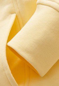 Sail Racing ZIP W GALE - Sudadera con cremallera - faded yellow