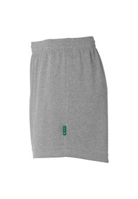 Bermudas atléticas grises hechas de una tela suave, con una cinturilla elástica y una etiqueta de marca verde en el costado. Diseño simple con un corte recto.