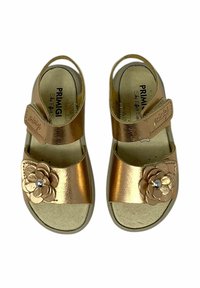 Sandali in pelle rosa dorata con un accento floreale, cinturino regolabile e soletta texturizzata. Punta aperta e retro aperto. Design casual per bambini.