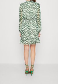 Grön och vit zebra-mönstrad klänning med långa ärmar och volanger nertill, med en cinchad midja. Matchad med gröna klackar med remmar.