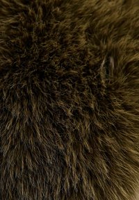 Strukturalny materiał futrzany w ciemnym brązie, z gęstymi, miękkimi włóknami, które tworzą kudłaty wygląd o różnych długościach i jasnych akcentach.