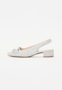 Non sélectionné, light grey