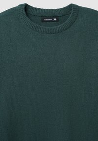 Maglione verde a maglia con collo rotondo a coste, realizzato in materiale testurizzato, con un'etichetta che recita "TERRANOVA XL."