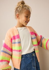 Next REGULAR FIT - Cardigan - multi stripe