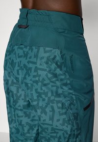 Adidas Terrex PANTS - Sínadrág - aurora ivy/preloved teal