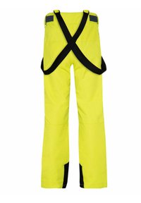 Protest BORK JR - Skihose - green glow