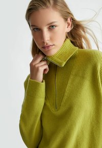 LIU JO WITH ZIP - Maglione - green