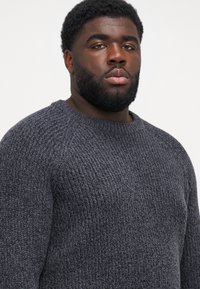 Jack & Jones JJJONES CREW NECK - Jumper - asphalt/black