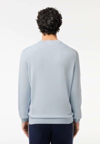 Maglione a maglia azzurro chiaro con maniche lunghe, polsini e fondo a costine, e scollatura rotonda. Texture liscia, design semplice senza motivi.