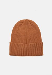 Calvin Klein EMBROIDERY BEANIE - Adīta cepure - lion