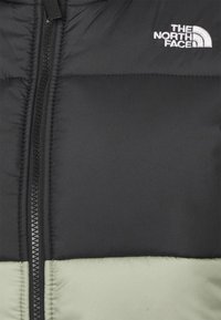 The North Face SAIKURU JACKET - Casaco de inverno - tea green