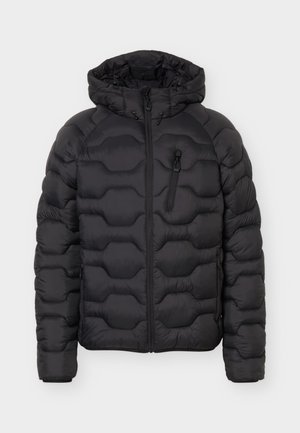 Icepeak, BRANCH - Χειμωνιάτικο μπουφάν - basic black