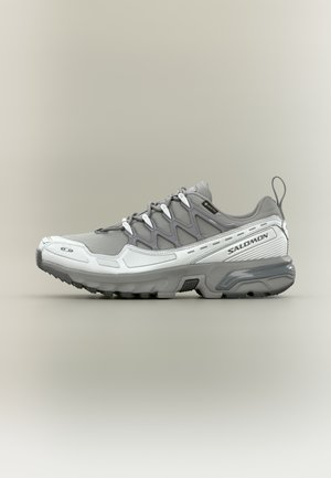 ACS+ GTX UNISEX - Trainers - alloy/castlerock/footwear silver-coloured