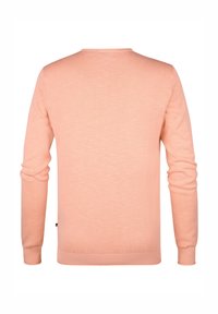 Helles rosa Sweatshirt mit langen Ärmeln und Rundhalsausschnitt. Verfügt über gerippte Bündchen und Saum, glatte Textur und einfaches Design. Rückansicht abgebildet.