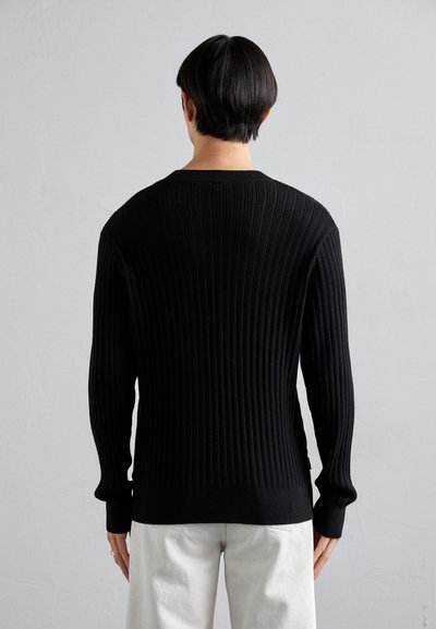 Won Hundred RYDER POINTELLE - Pullover - black