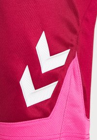Hummel HMLLEAD  - Korte broeken - biking red