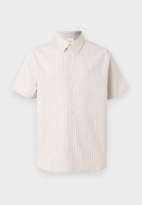 Ausgewählt, island fossil