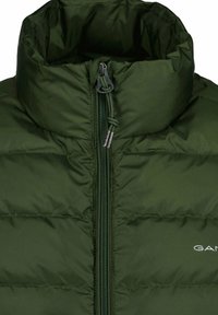 Grüne gepolsterte Jacke mit hohem Kragen, versehen mit einem Reißverschluss auf der Vorderseite, einem elastischen Kordelzug und einem Logo auf der linken Seite. Glatte, glänzende Textur.